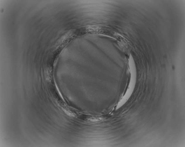 X0000067880712200605111825