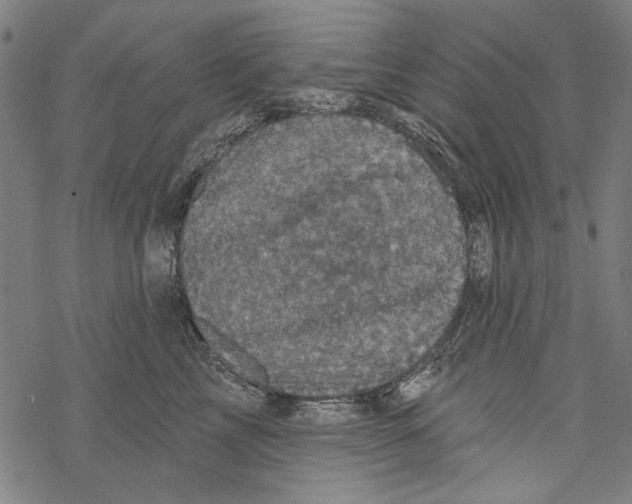 X0000067880713200605111825