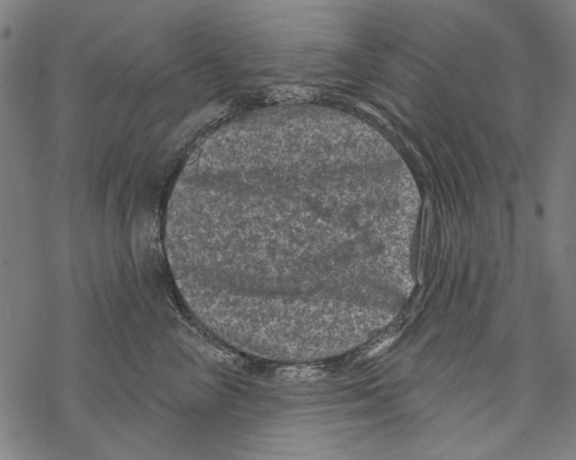 X0000067880714200605111825