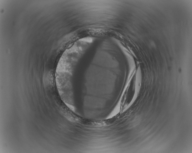 X0000067880715200605111825