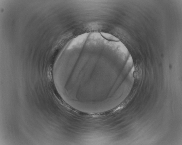 X0000067880718200605111825
