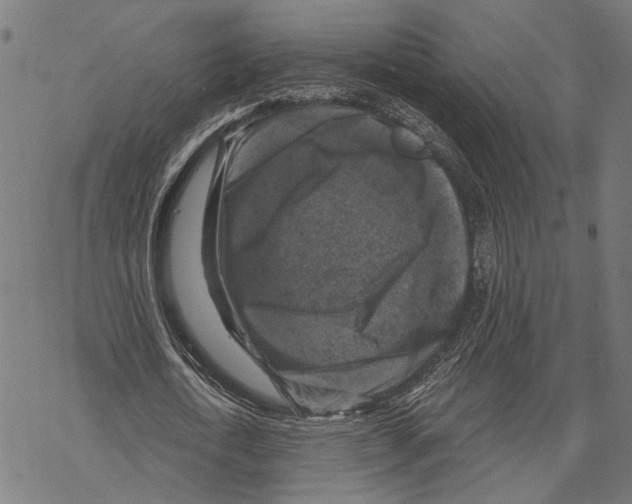 X0000067880722200605111824
