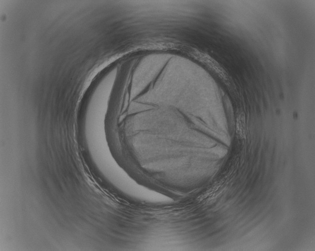X0000067880724200605111824
