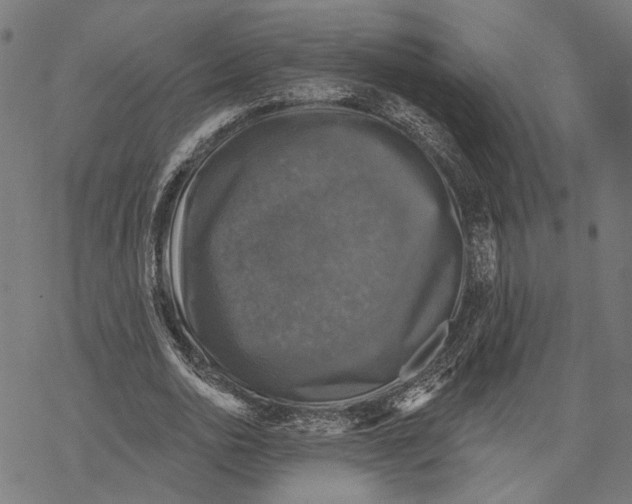X0000067880726200605111824