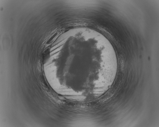 X0000067880729200605111824