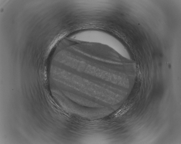 X0000067880731200605111824