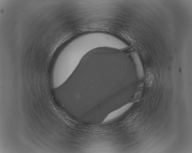 X0000067880735200605111824