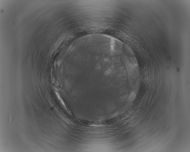 X0000067880742200605111825