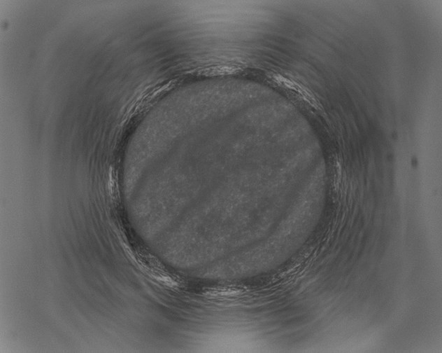 X0000067880743200605111825