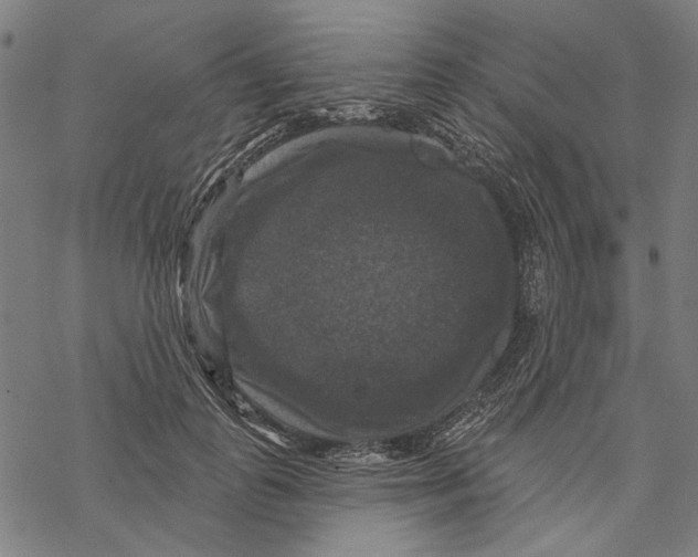 X0000067880747200605111825