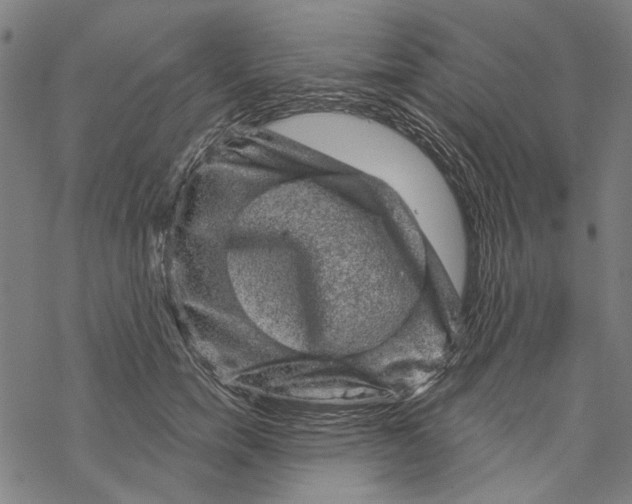 X0000067880750200605111825