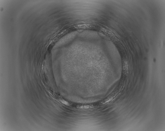 X0000067880751200605111825