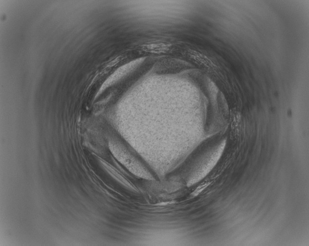 X0000067880752200605111825