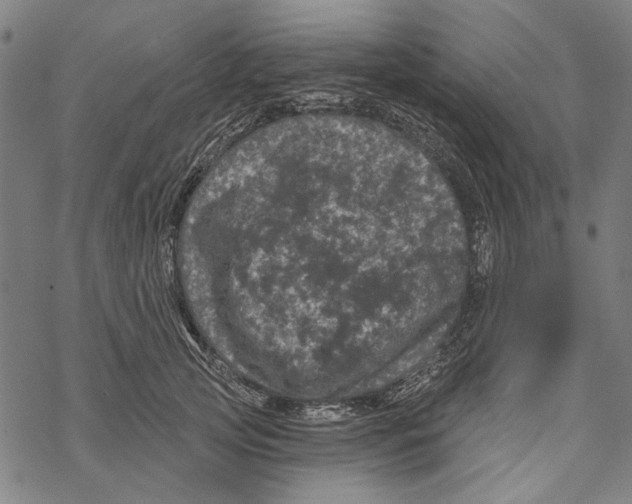 X0000067880753200605111825