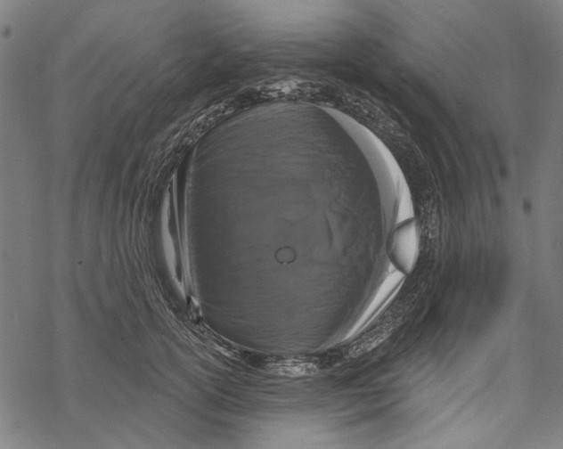 X0000067880754200605111825