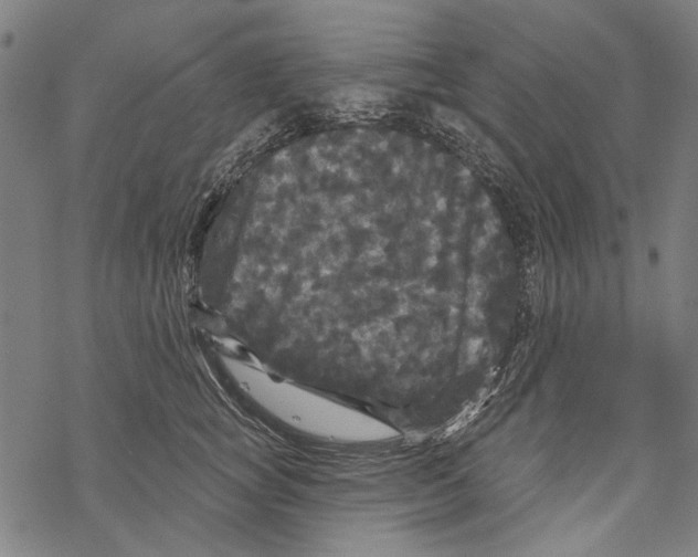 X0000067880757200605111825