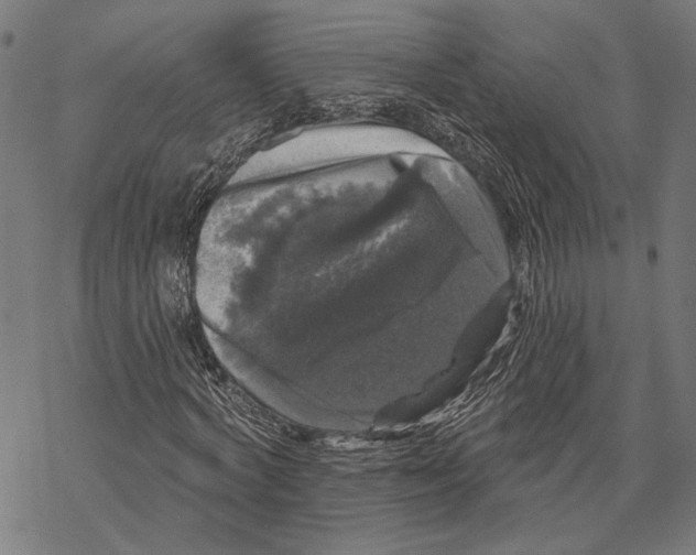 X0000067880772200605111824