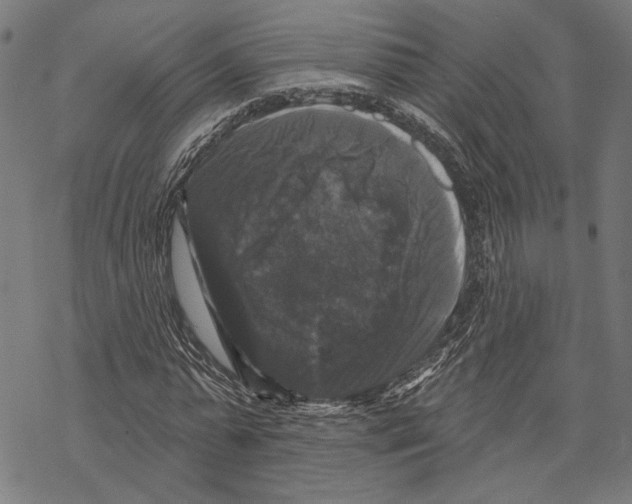 X0000067880775200605111824