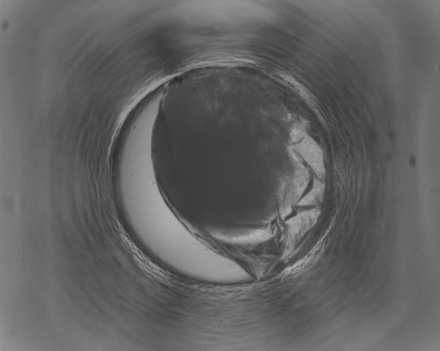 X0000067880779200605111824