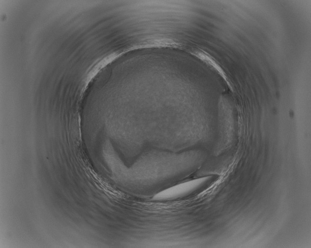 X0000067880781200605111824