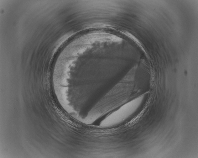 X0000067880783200605111824