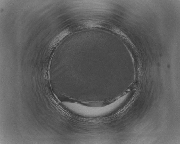 X0000067880785200605111824