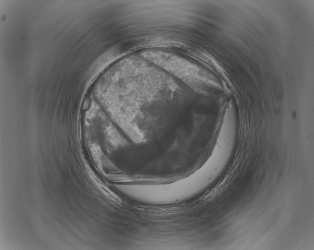 X0000067880795200605111824