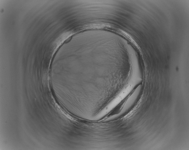 X0000067880802200605111824