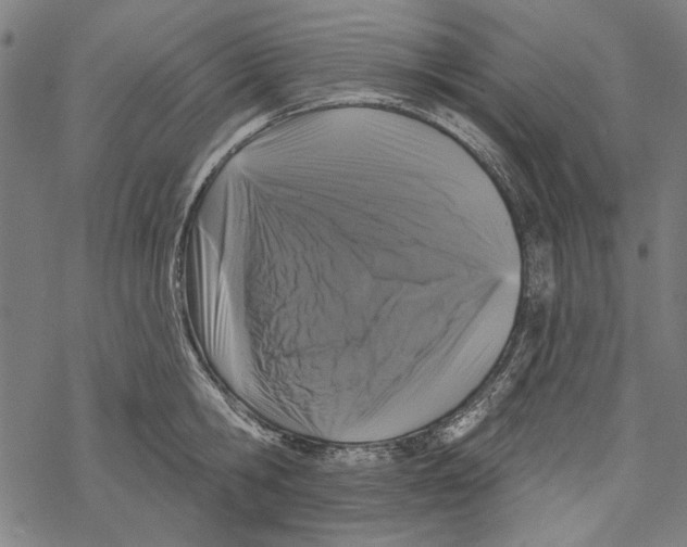 X0000067880806200605111824