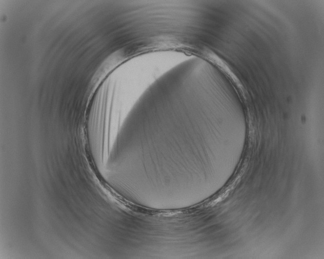 X0000067880810200605111824