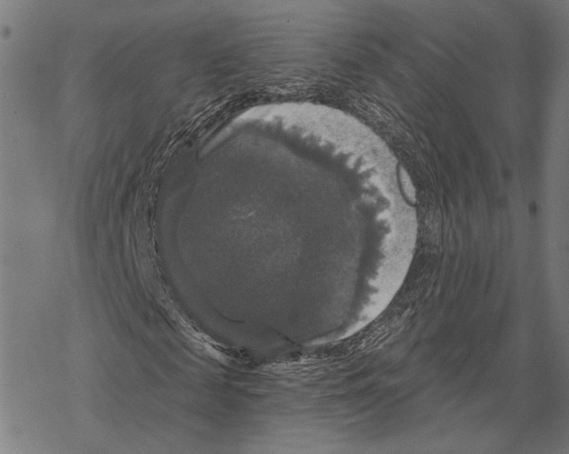 X0000067880817200605111823