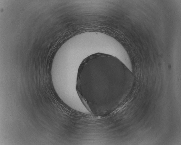 X0000067880818200605111823