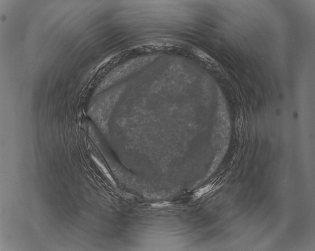 X0000067880822200605111823