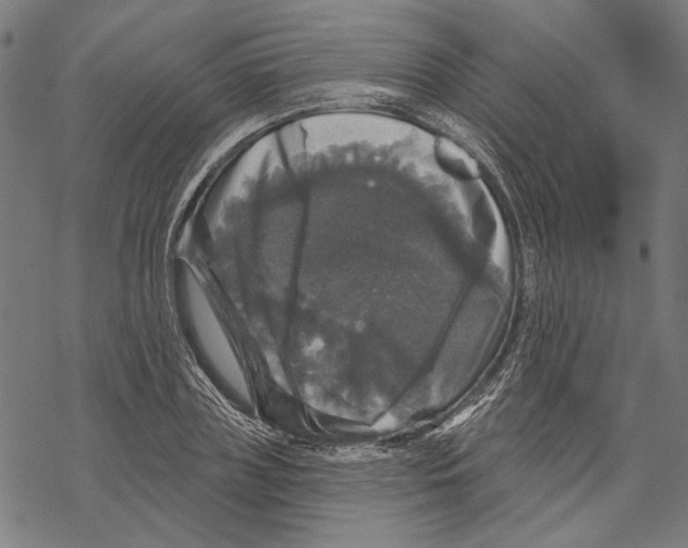 X0000067880835200605111823