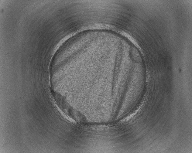 X0000067880837200605111823