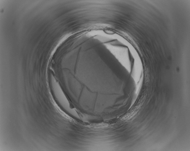X0000067880851200605111823