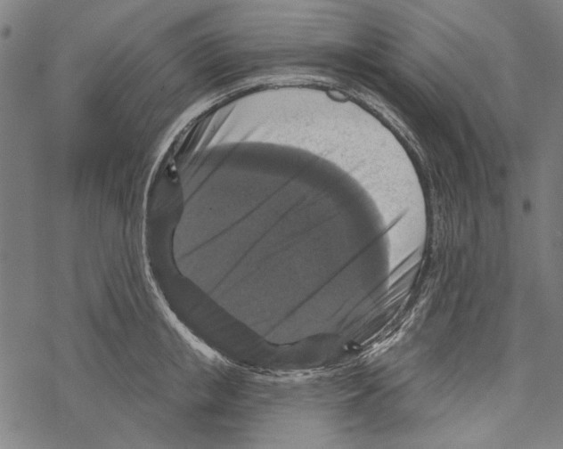 X0000067880853200605111823