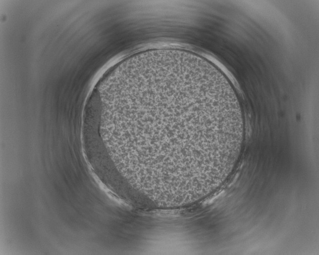 X0000067880861200605111823
