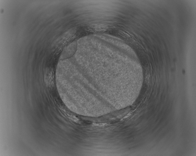 X0000067880866200605111823
