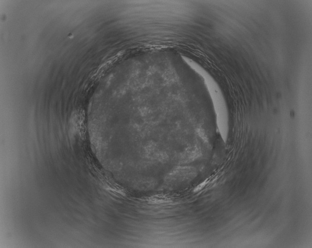 X0000067880867200605111823