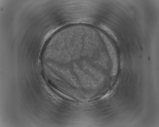 X0000067880876200605111822