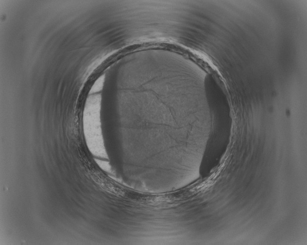 X0000067880879200605111822