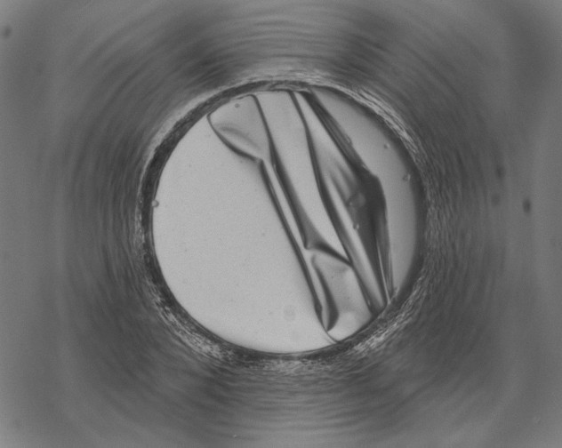 X0000067880880200605111822