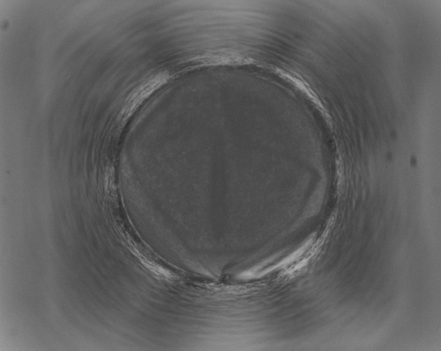 X0000067880881200605111822