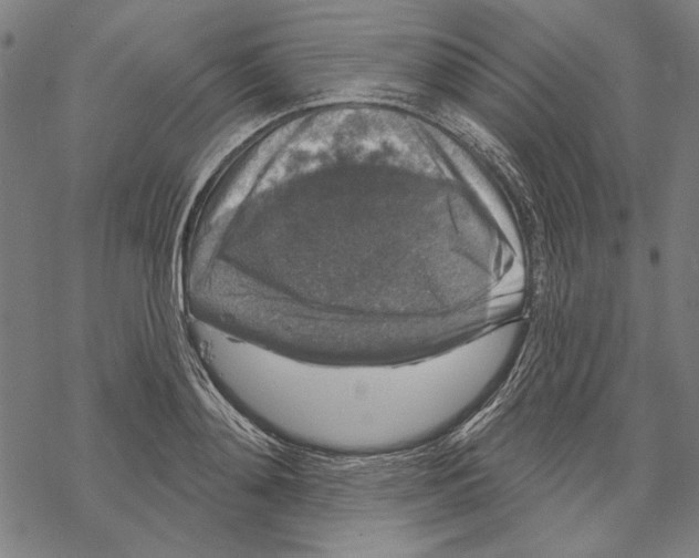 X0000067880892200605111822