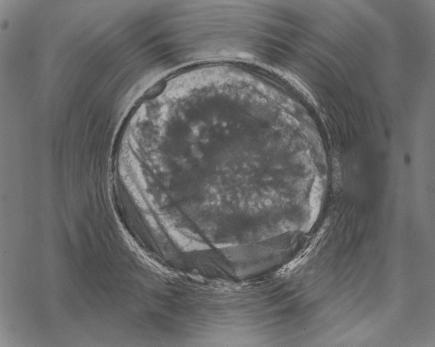 X0000067880895200605111822
