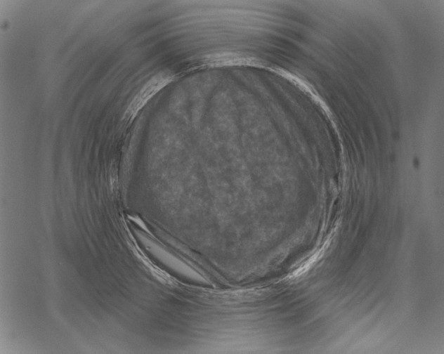 X0000067880897200605111822