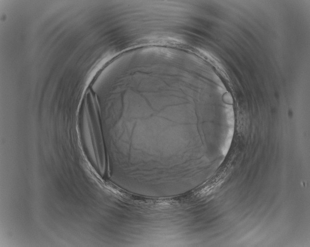 X0000067880899200605111822