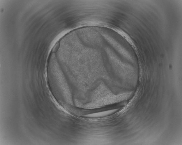 X0000067880904200605111822