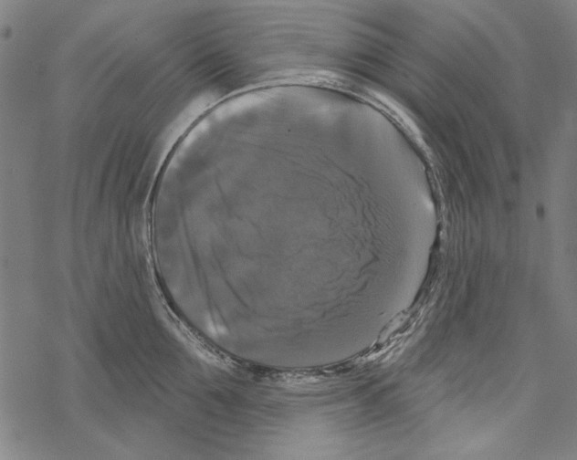 X0000067880907200605111822